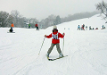 wanpaku018_thumb.png